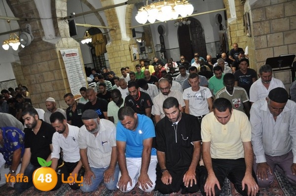 trawe7 7san bek 715 (30).JPG